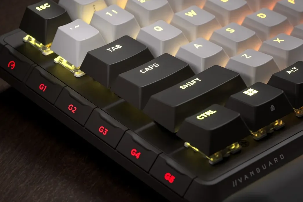 מסך LCD חי וצבעוני